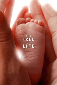 Poster to the movie "The Tree of Life" #118888