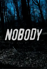 Poster to the movie "Nobody" #483457