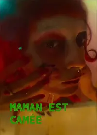 Poster to the movie "Maman est camée" #590287