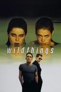 Poster to the movie "Wild Things" #102055