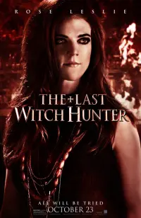 Poster to the movie "The Last Witch Hunter" #49228