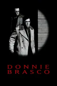 Poster to the movie "Donnie Brasco" #91468