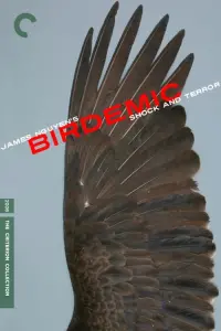 Poster to the movie "Birdemic: Shock and Terror" #475170