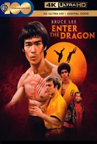 Poster to the movie "Enter the Dragon" #65995