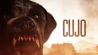 Backdrop to the movie "Cujo" #98778