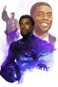 Poster to the movie "Black Panther" #668546