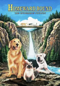 Poster to the movie "Homeward Bound: The Incredible Journey" #251066