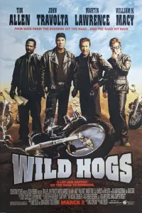 Poster to the movie "Wild Hogs" #336201