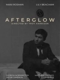 Poster to the movie "Afterglow" #607486