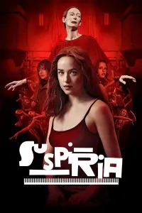 Poster to the movie "Suspiria" #105029