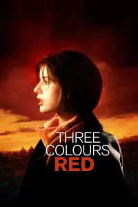 Poster to the movie "Three Colors: Red" #94007