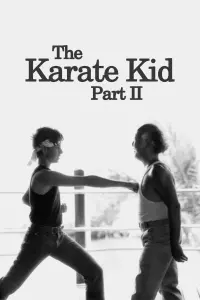 Poster to the movie "The Karate Kid Part II" #80312