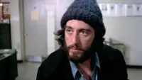 Backdrop to the movie "Serpico" #692624