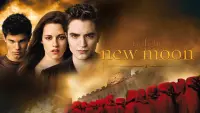 Backdrop to the movie "The Twilight Saga: New Moon" #19143