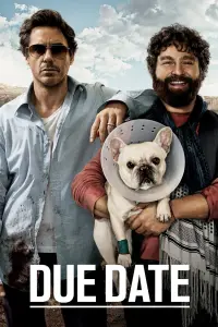 Poster to the movie "Due Date" #85142