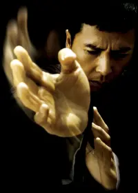 Poster to the movie "Ip Man" #188168