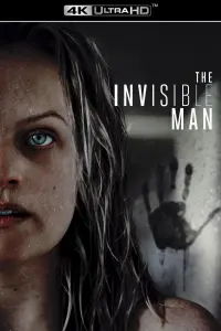 Poster to the movie "The Invisible Man" #238350