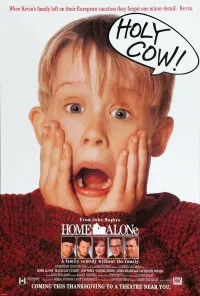 Poster to the movie "Home Alone" #583540