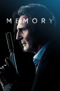 Poster to the movie "Memory" #37736