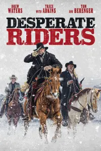 Poster to the movie "Desperate Riders" #90853