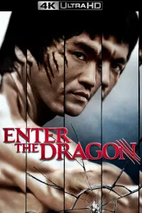 Poster to the movie "Enter the Dragon" #66003