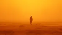 Backdrop to the movie "Blade Runner 2049" #162283