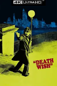 Poster to the movie "Death Wish" #254906