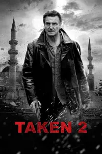 Poster to the movie "Taken 2" #43270