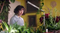 Backdrop to the movie "This Beautiful Fantastic" #236908