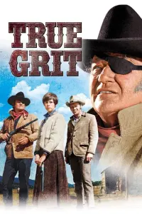 Poster to the movie "True Grit" #100901