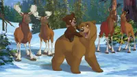 Backdrop to the movie "Brother Bear 2" #323524