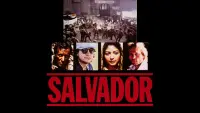 Backdrop to the movie "Salvador" #245446