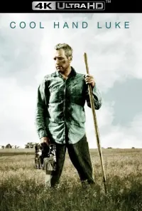 Poster to the movie "Cool Hand Luke" #102979