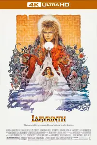 Poster to the movie "Labyrinth" #121836