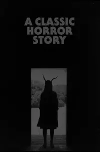 Poster to the movie "A Classic Horror Story" #589026