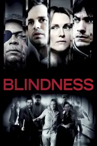 Poster to the movie "Blindness" #277188