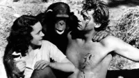 Backdrop to the movie "Tarzan the Ape Man" #356278