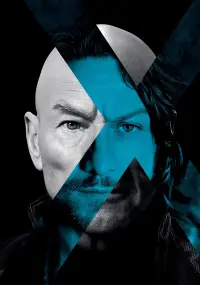 Poster to the movie "X-Men: Days of Future Past" #209749