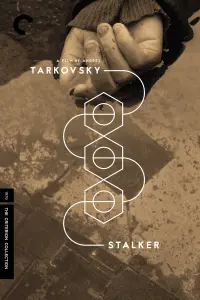 Poster to the movie "Stalker" #44109