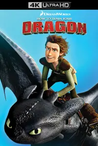 Poster to the movie "How to Train Your Dragon" #23213