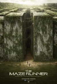 Poster to the movie "The Maze Runner" #7915