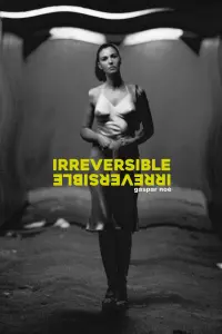 Poster to the movie "Irreversible" #402192