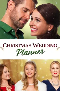 Poster to the movie "Christmas Wedding Planner" #140525