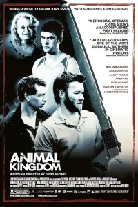 Poster to the movie "Animal Kingdom" #125698