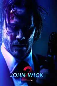 Poster to the movie "John Wick: Chapter 2" #168935