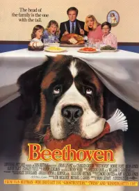 Poster to the movie "Beethoven" #93560