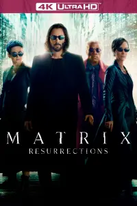 Poster to the movie "The Matrix Resurrections" #314416