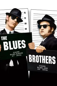 Poster to the movie "The Blues Brothers" #112398