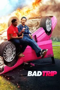 Poster to the movie "Bad Trip" #127664