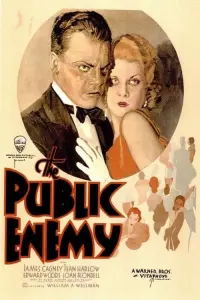 Poster to the movie "The Public Enemy" #230682